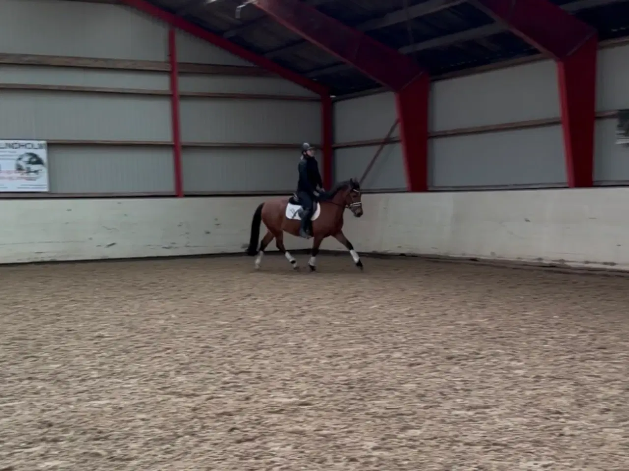 Billede 6 - Sød 1’er pony