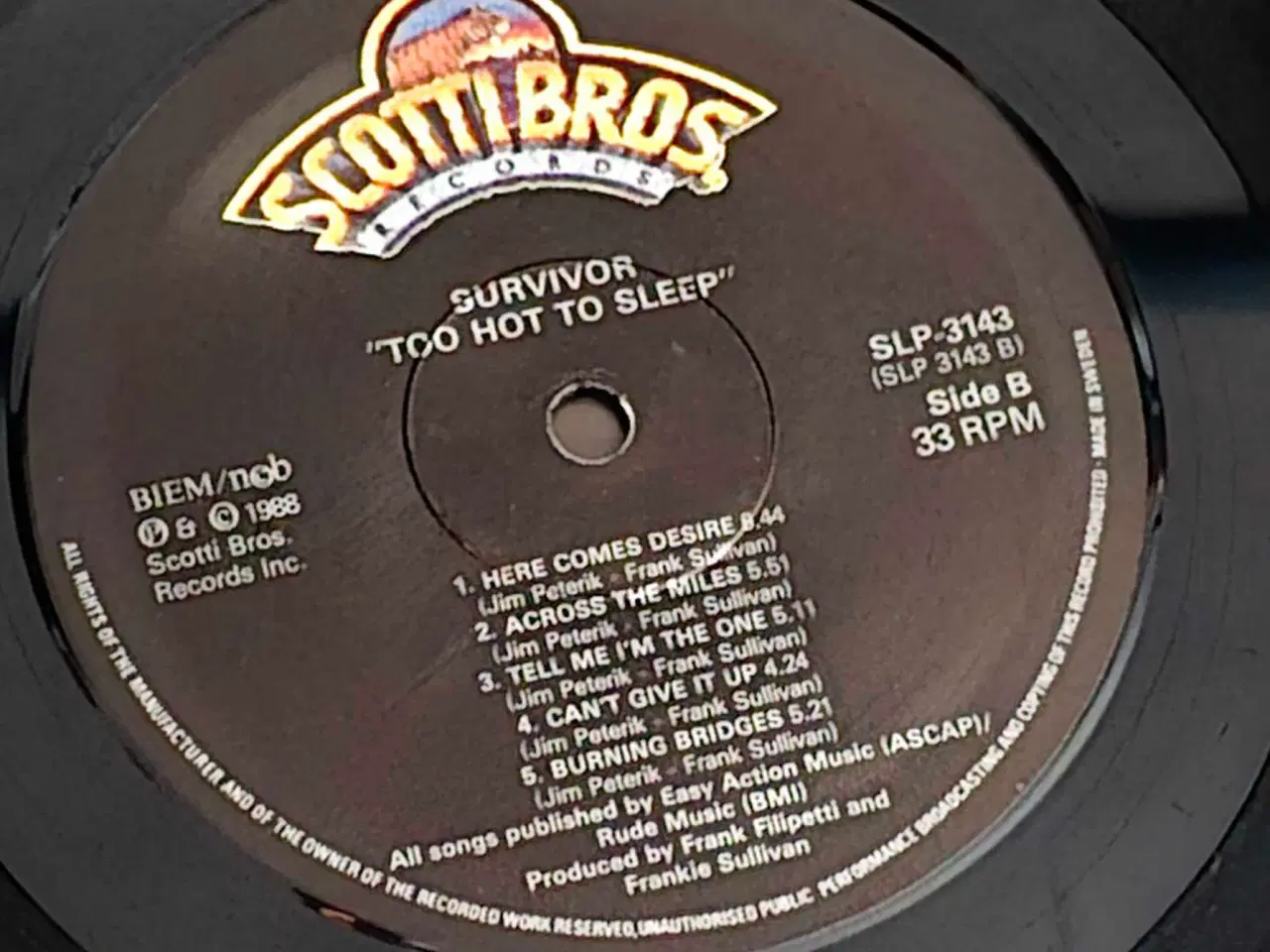 Billede 6 - SURVIVOR : Too hot to sleep