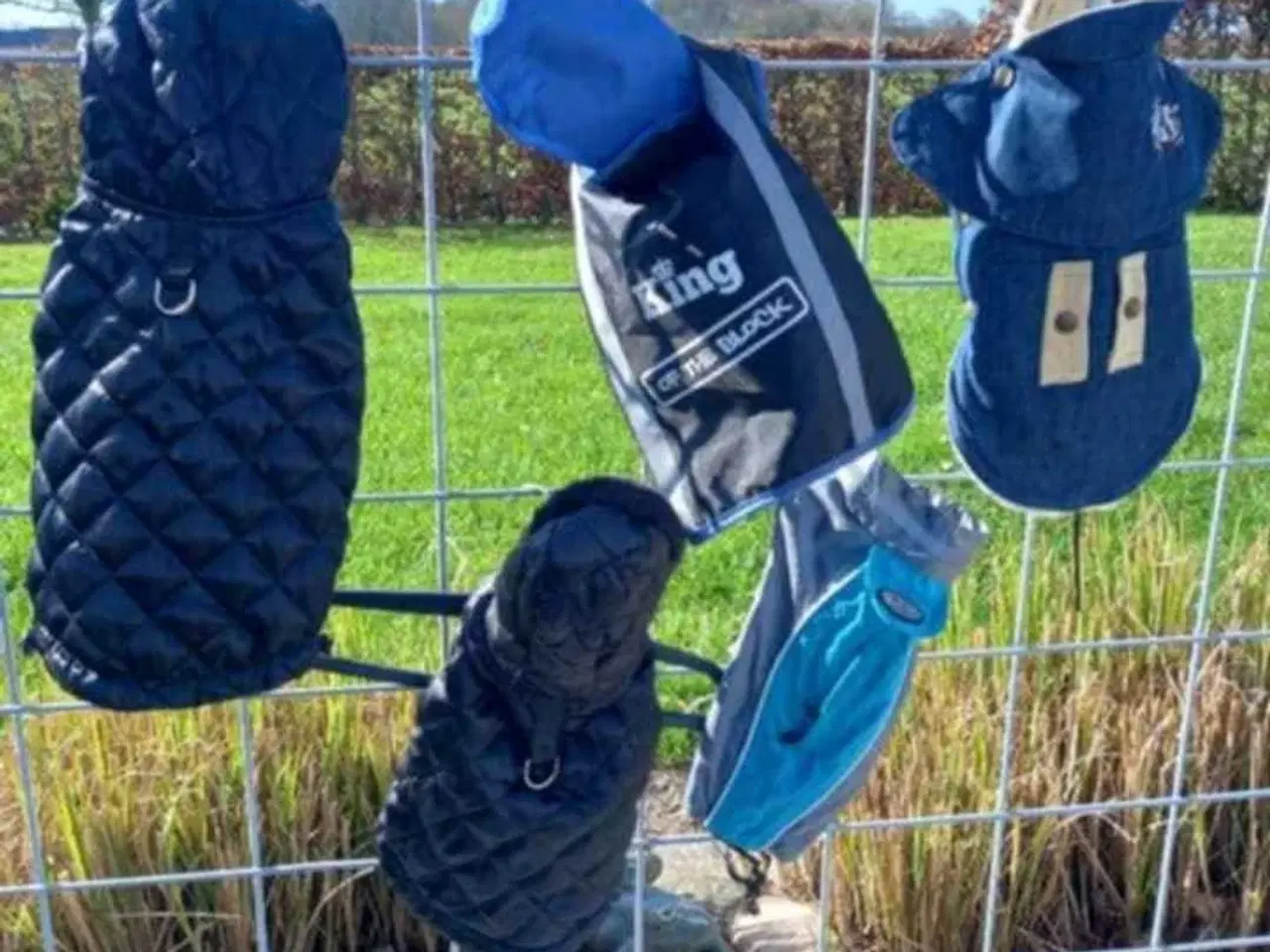 Billede 5 - Hunde taske / hvalpe kasse / Hunde beklædning