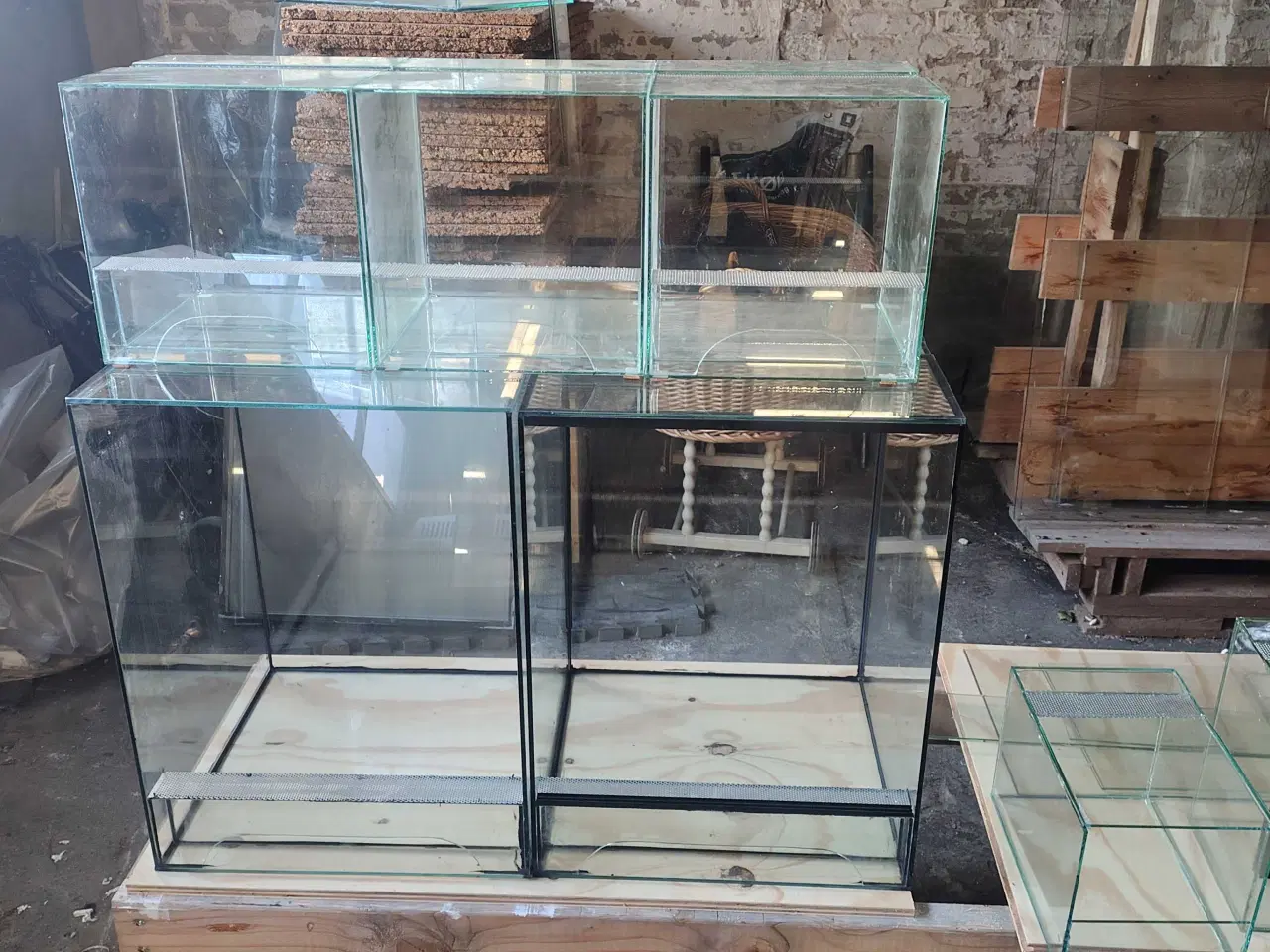 Billede 8 - Glas Terrarier