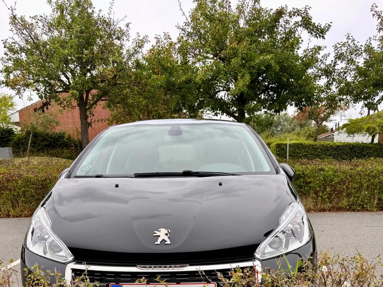 Billede 1 - Peugeot 208 1,5 BlueHDi 100 Signature Sky