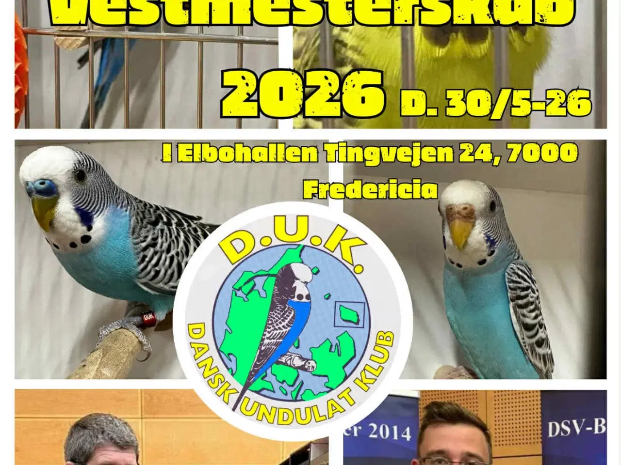 Billede 9 - Dansk Undulat Klub