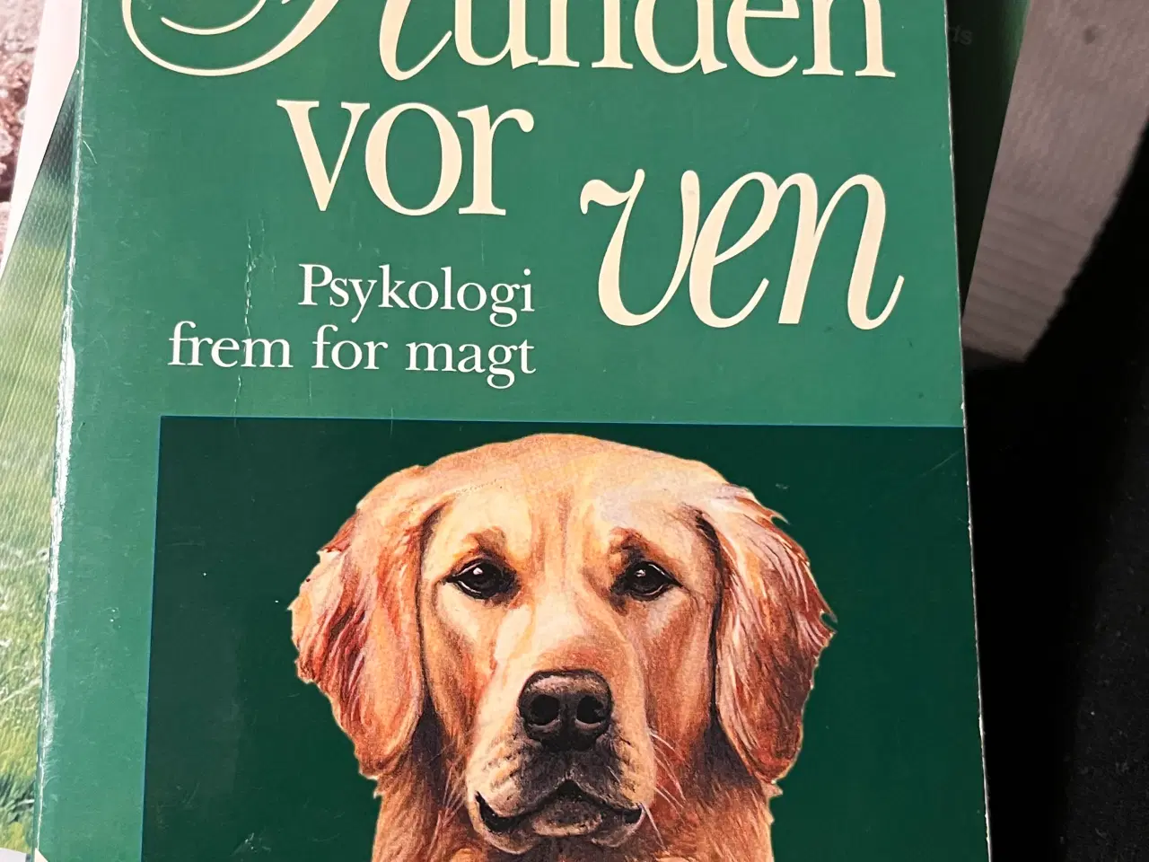 Billede 8 - Hundetræning, adfærd og viden om hunde