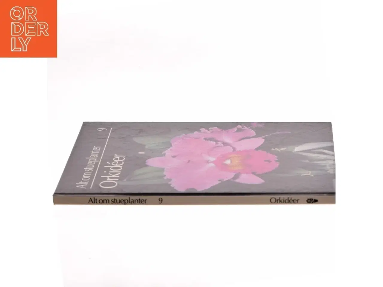 Billede 2 - Alt om stueplanter: Orkidéer (Bog)
