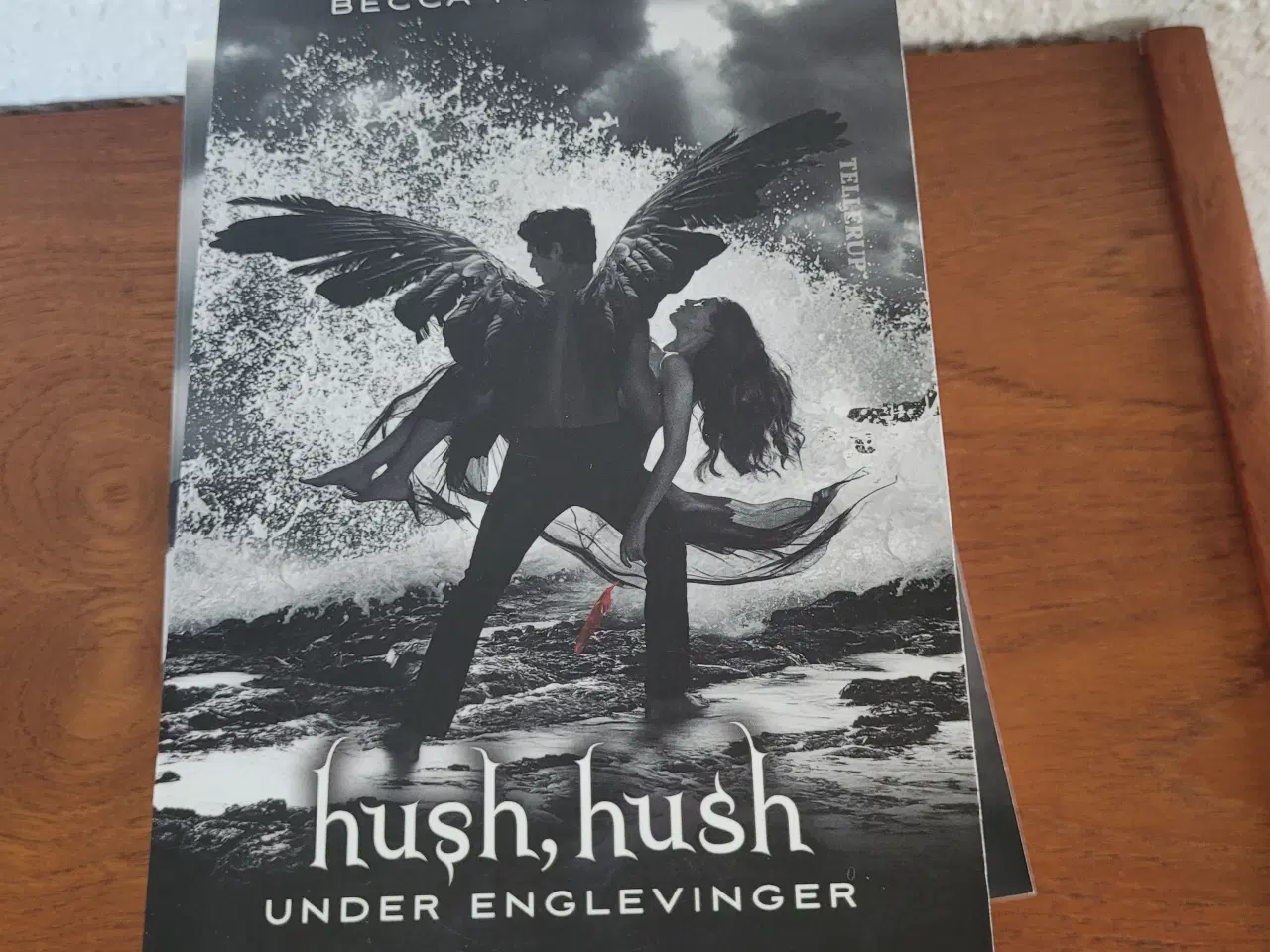 Billede 5 - Bogserie: Hush Hush nr. 1-4