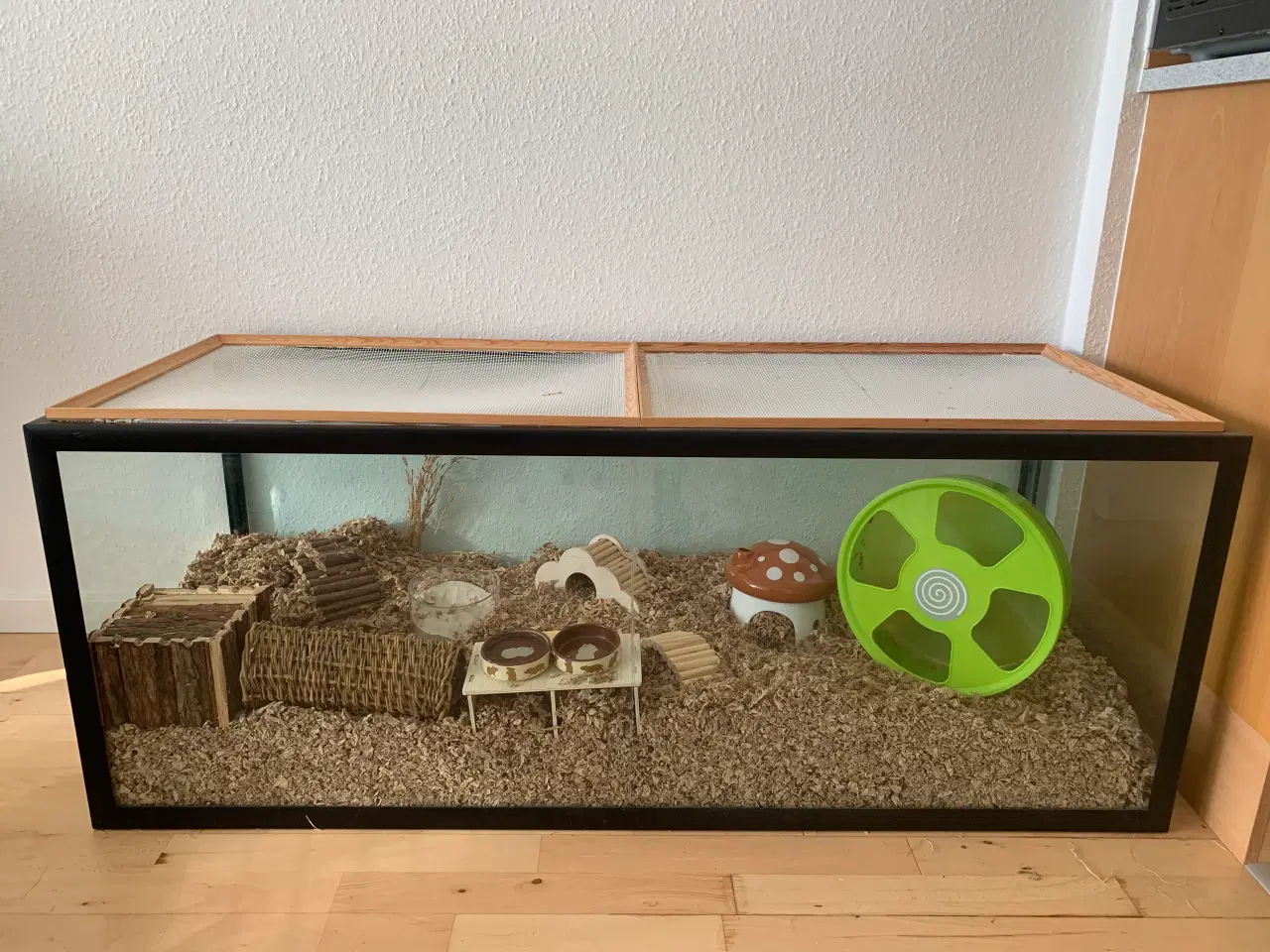 Billede 1 - Hamster bur + guldhamster 