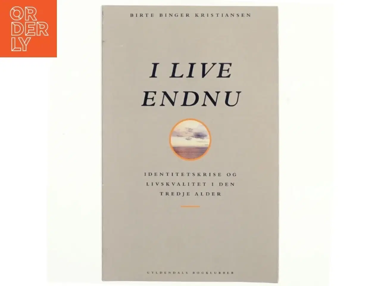 Billede 1 - I live - endnu : identitetskrise og livskvalitet i den tredje alder af Birte Binger Kristiansen (Bog)