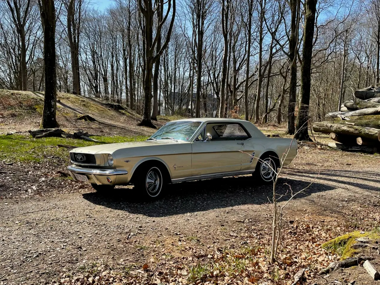 Billede 2 - Ford Mustang sælges