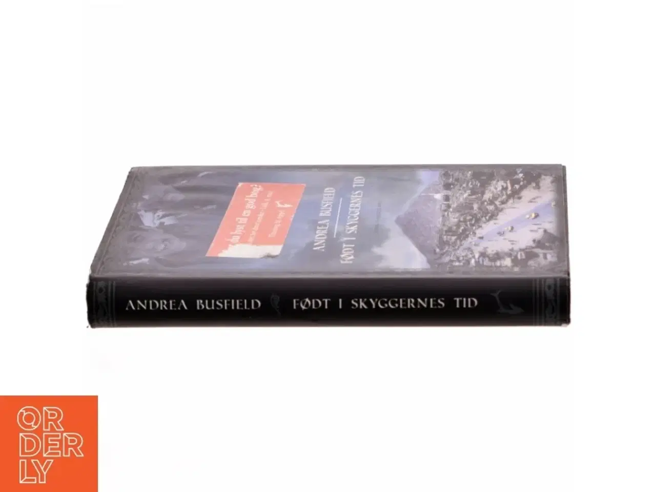 Billede 2 - Født i skyggernes tid : roman af Andrea Busfield (Bog)