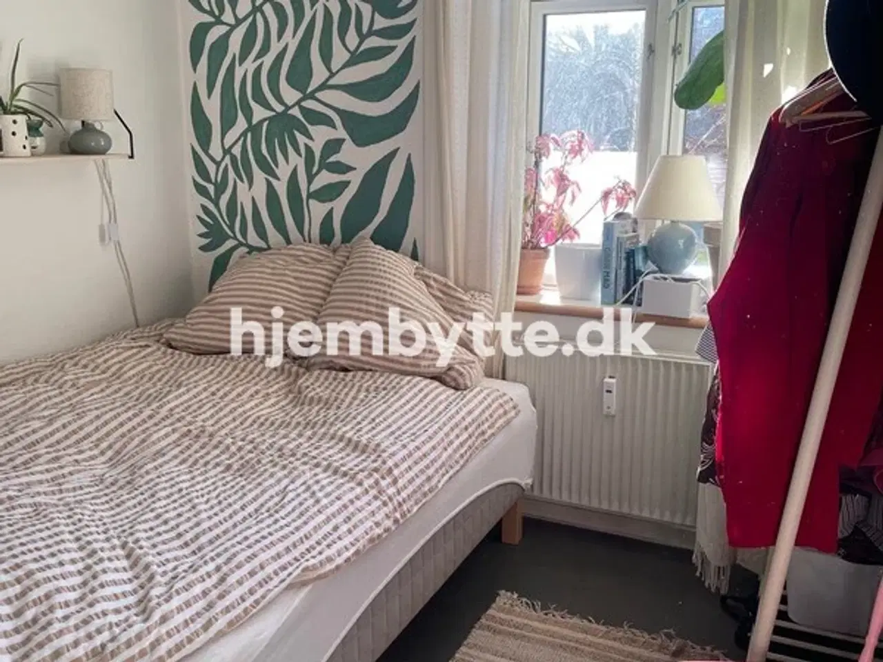 Billede 3 - Hjembytte - Guldbergsgade