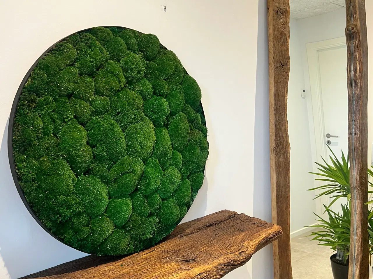 Billede 4 - Mos billede af pudemos