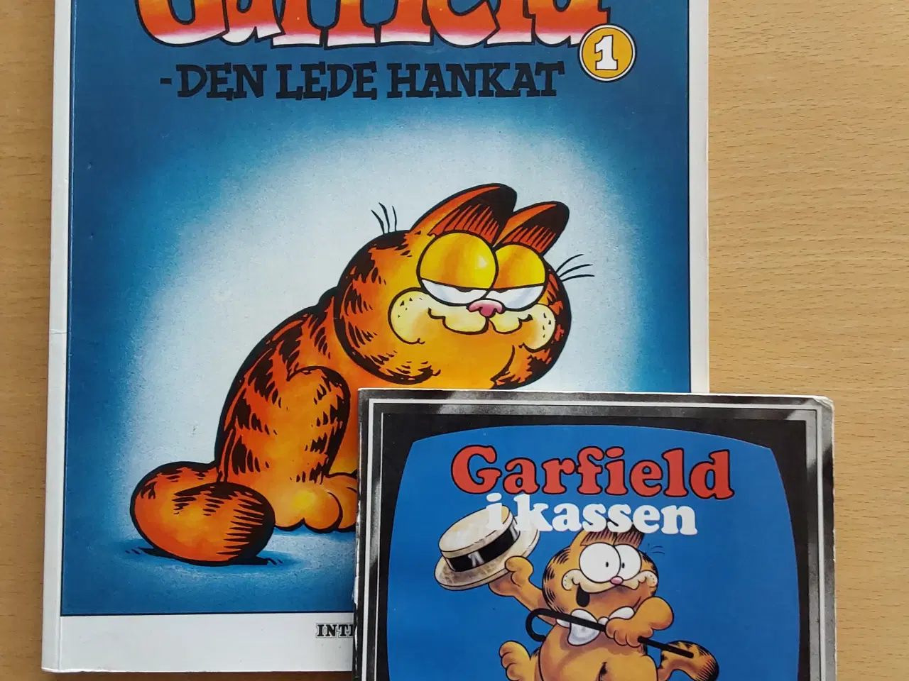 Billede 1 - Garfield i kassen og Garfield Den lede hankat 1