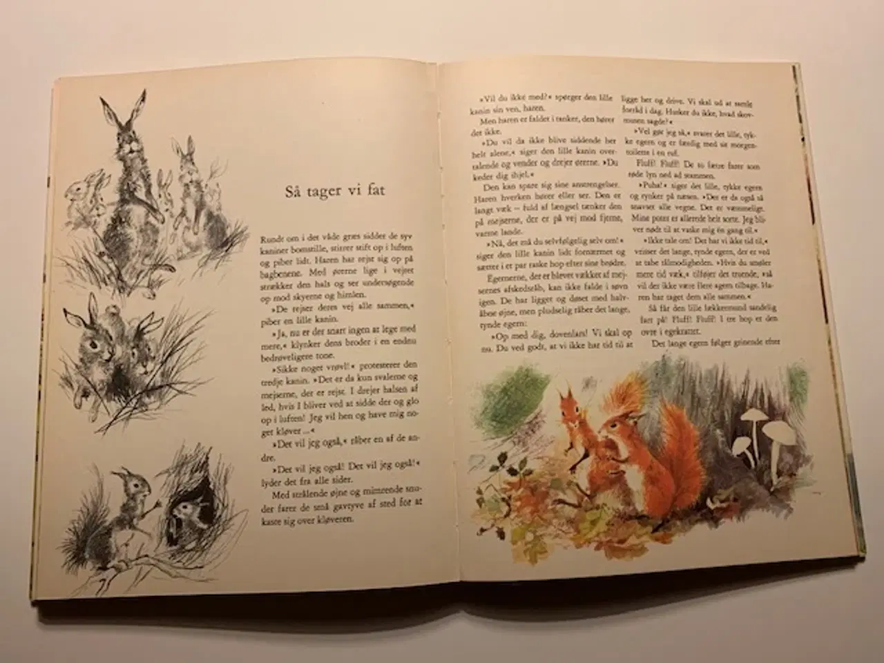 Billede 2 - Haren og den lille kanin på eventyr