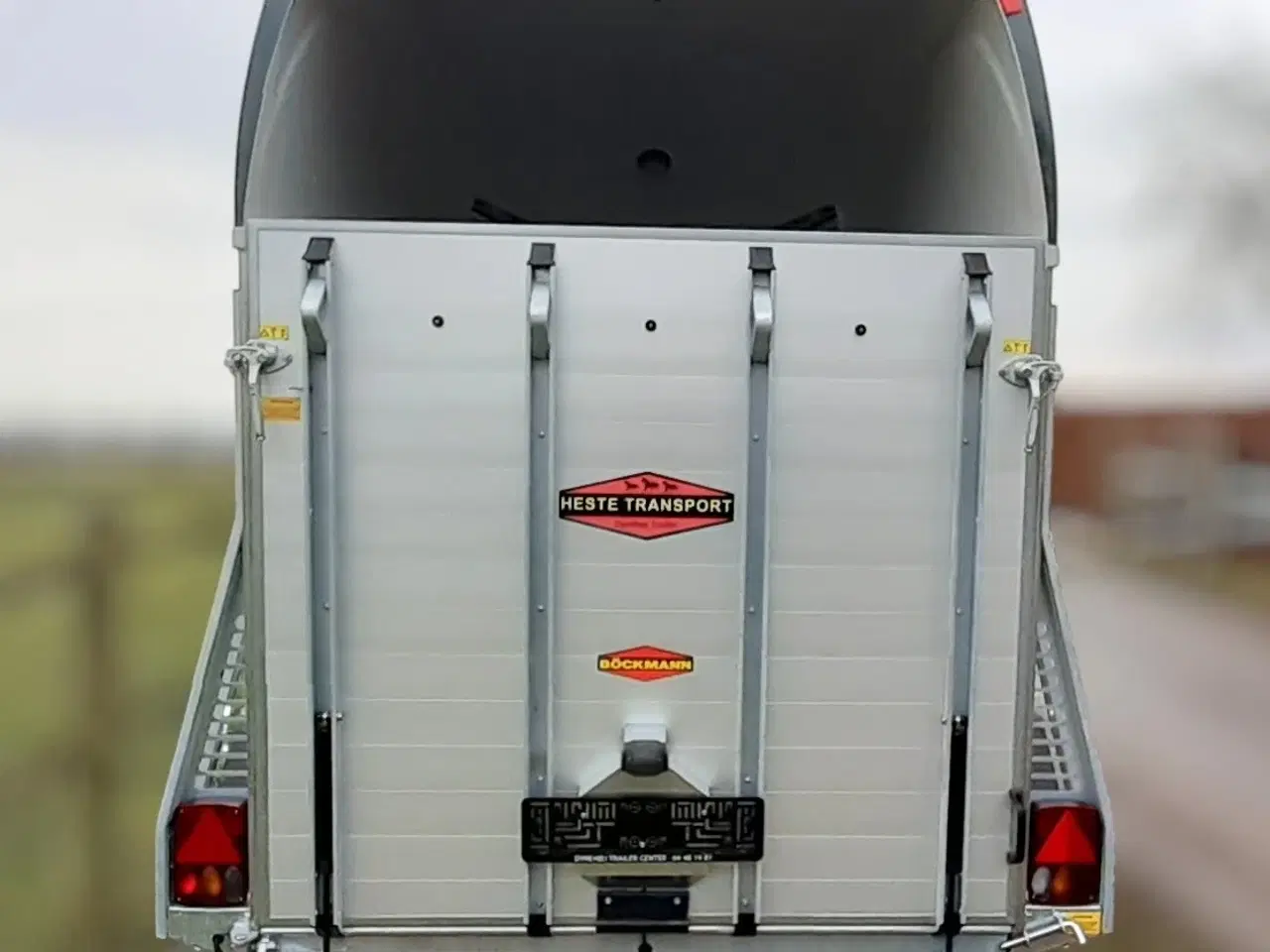 Billede 4 - Böckmann Champion Esprit (Udstilling)