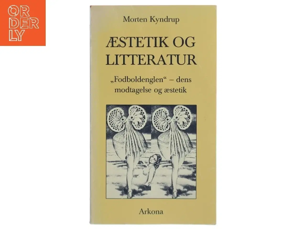 Billede 2 - Morten Kyndrup: Æstetik og litteratur
