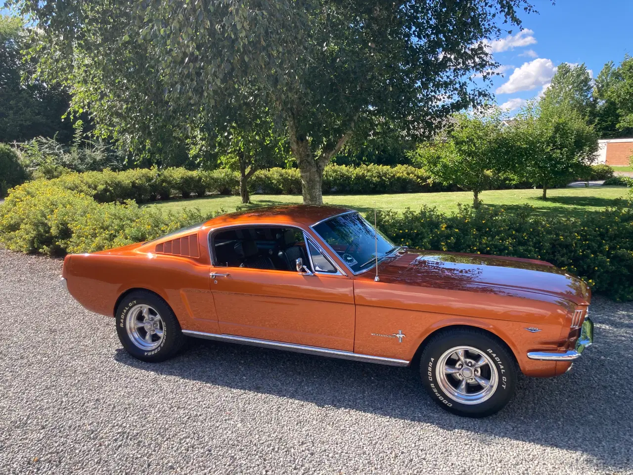 Billede 10 - Mustang Fastback