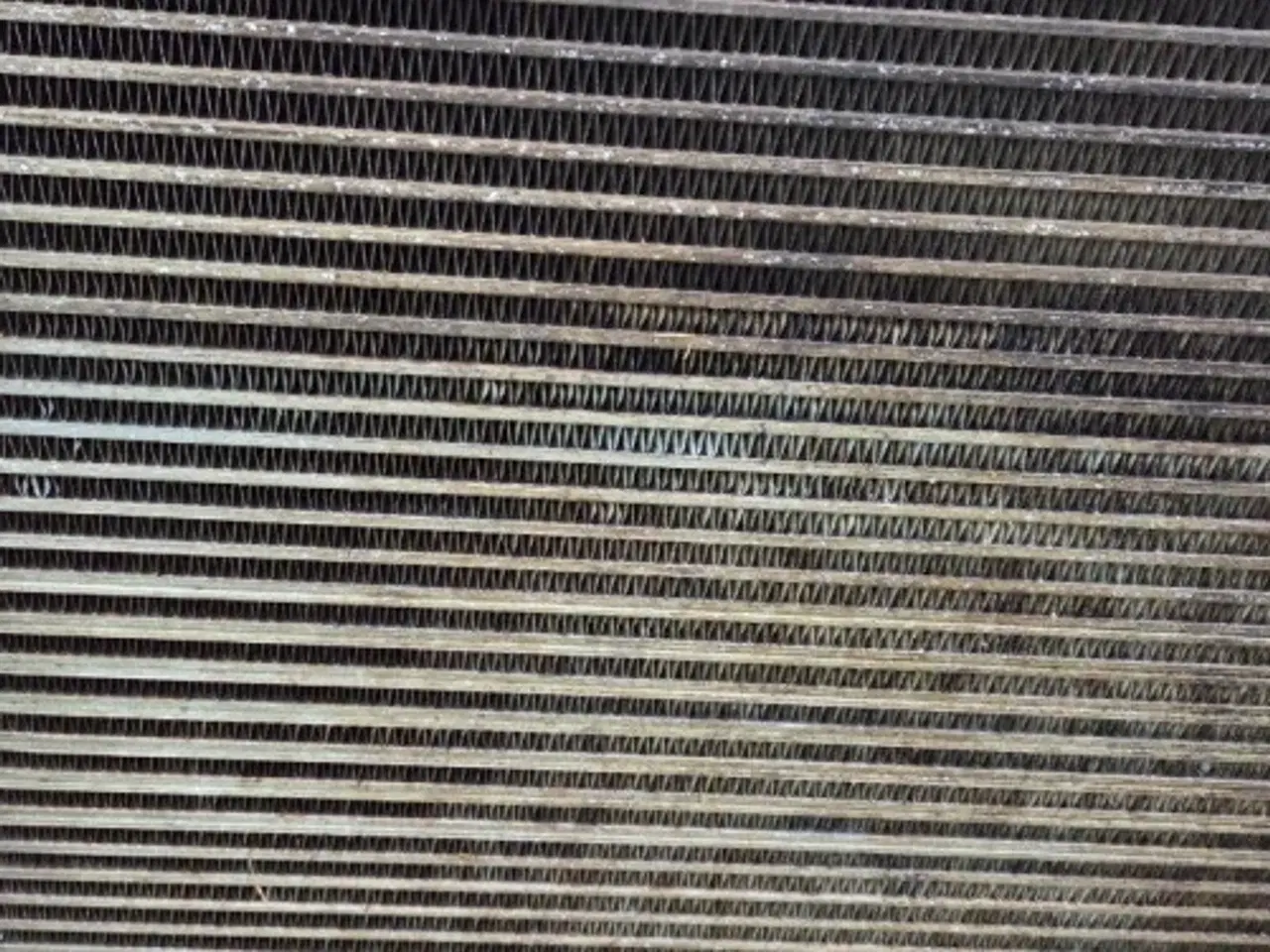 Billede 5 - Bobcat TL38.7X  Radiator  7367565