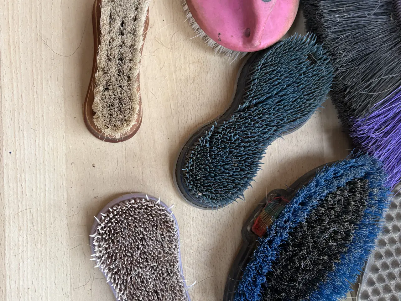 Billede 3 - Strigler 