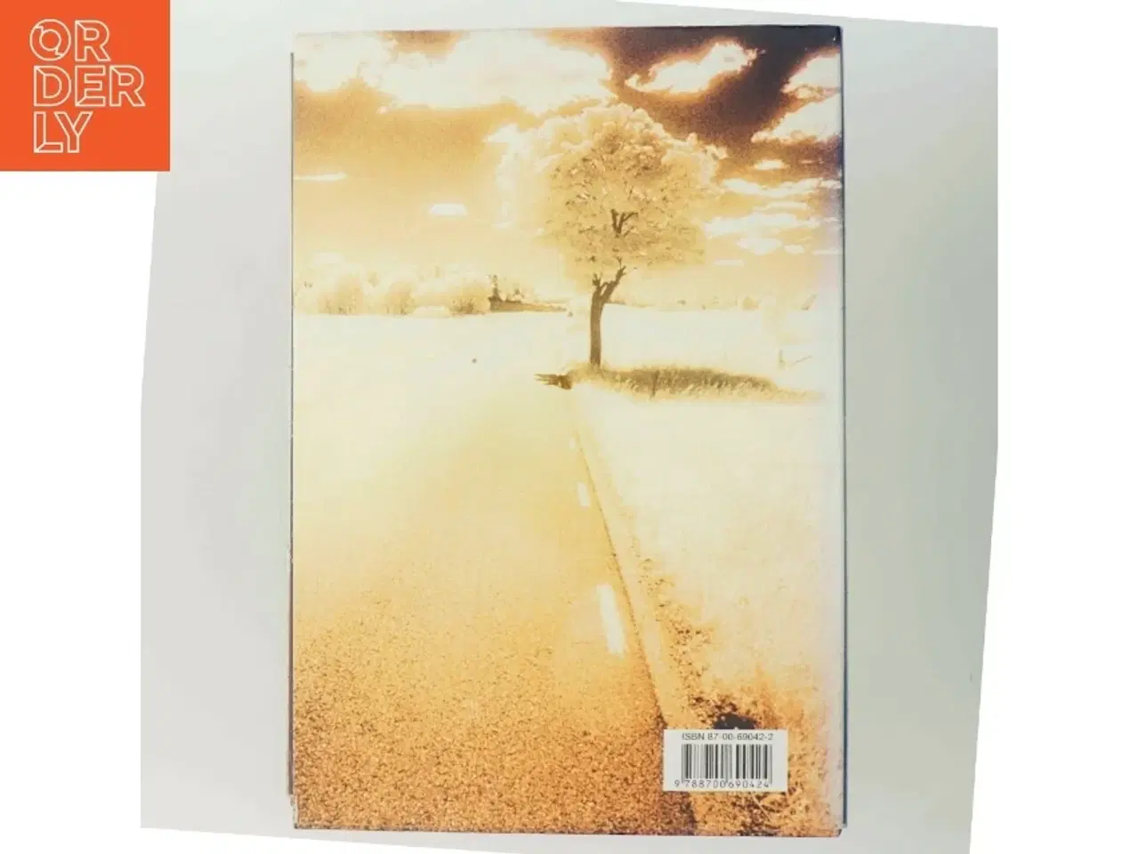 Billede 3 - Lewis rejse : roman af Per Olov Enquist (Bog)