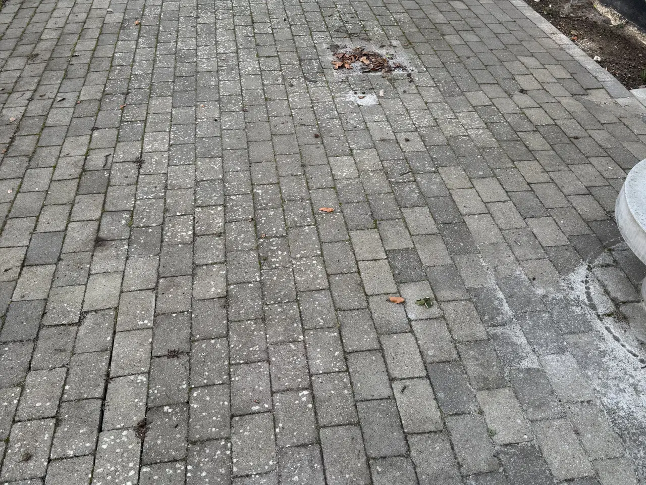 Billede 2 - Beton belægningssten grå - 60m2 - 0 kr.