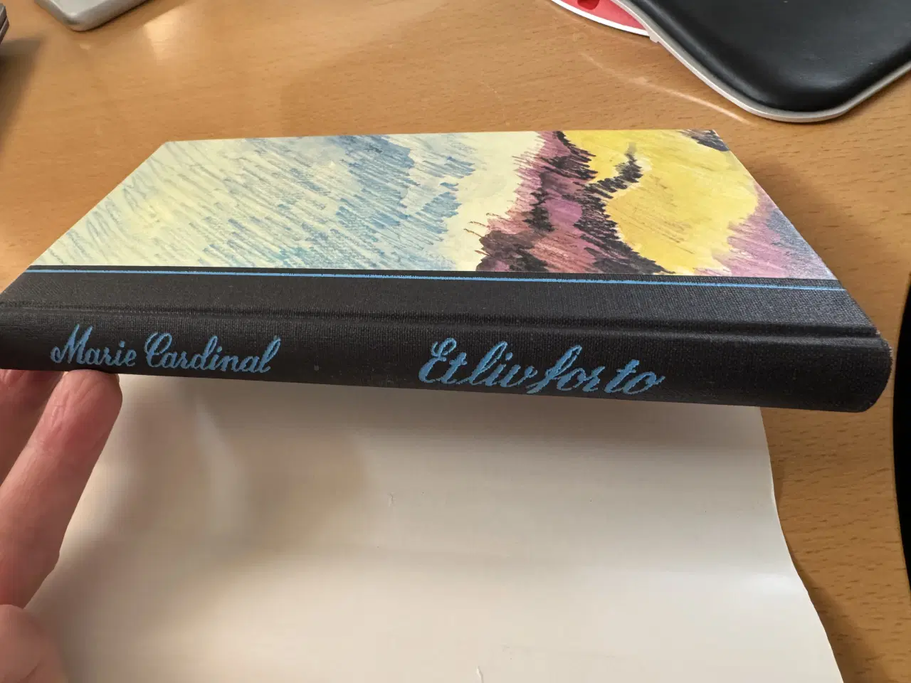 Billede 3 - “Et liv for to” af Maria Cardinal