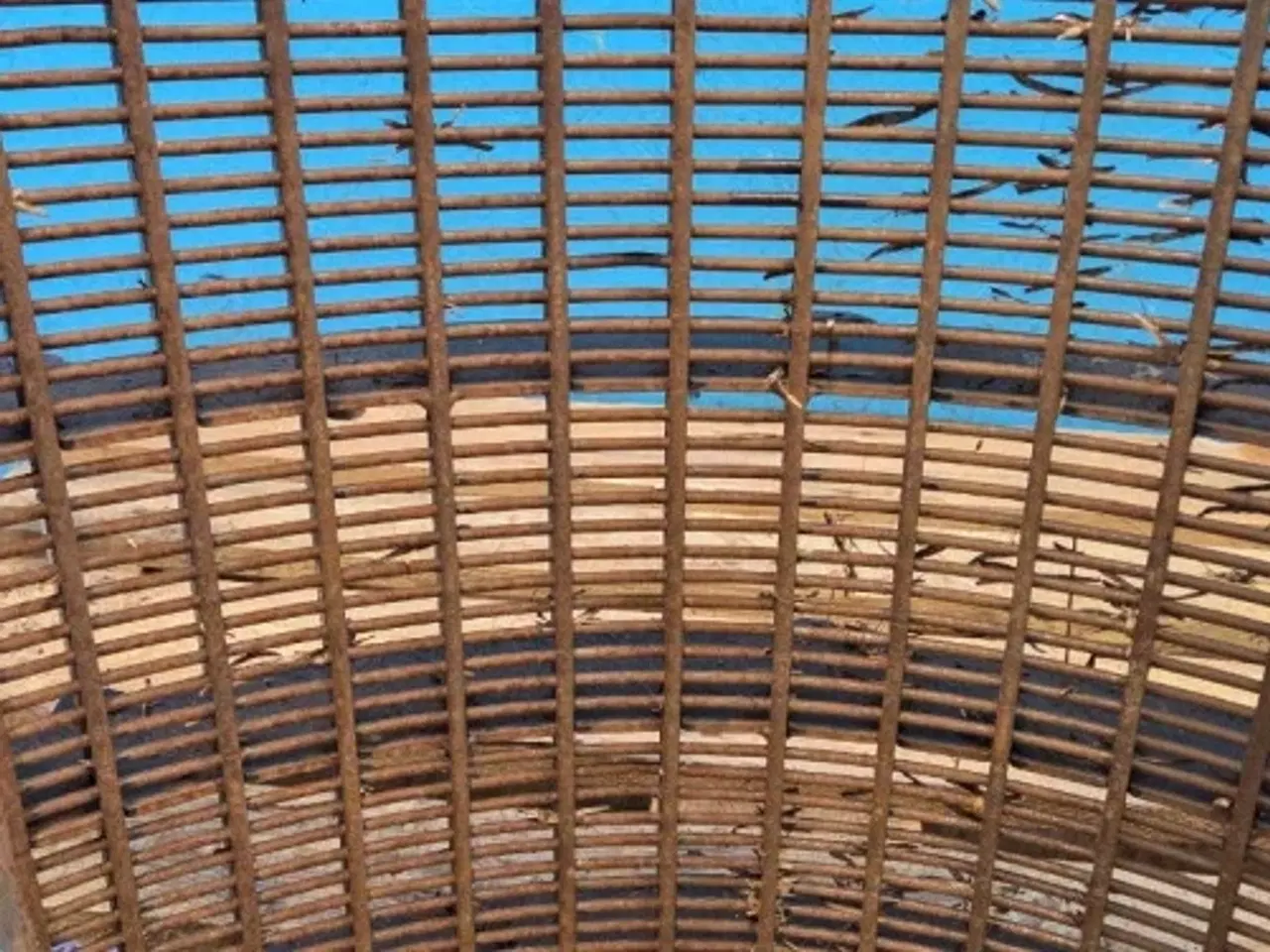 Billede 15 - Case 8010 Tærskebro L. 84182108