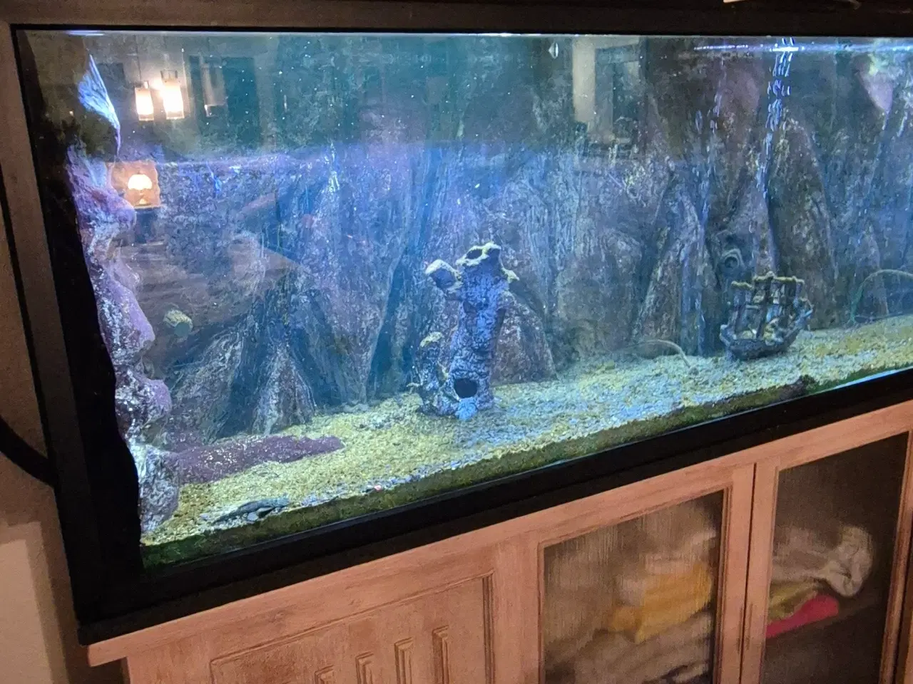 Billede 8 - 660L akvarie med 3D baggrund