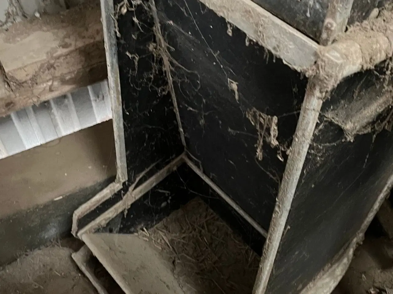 Billede 11 - - - - til kvæg