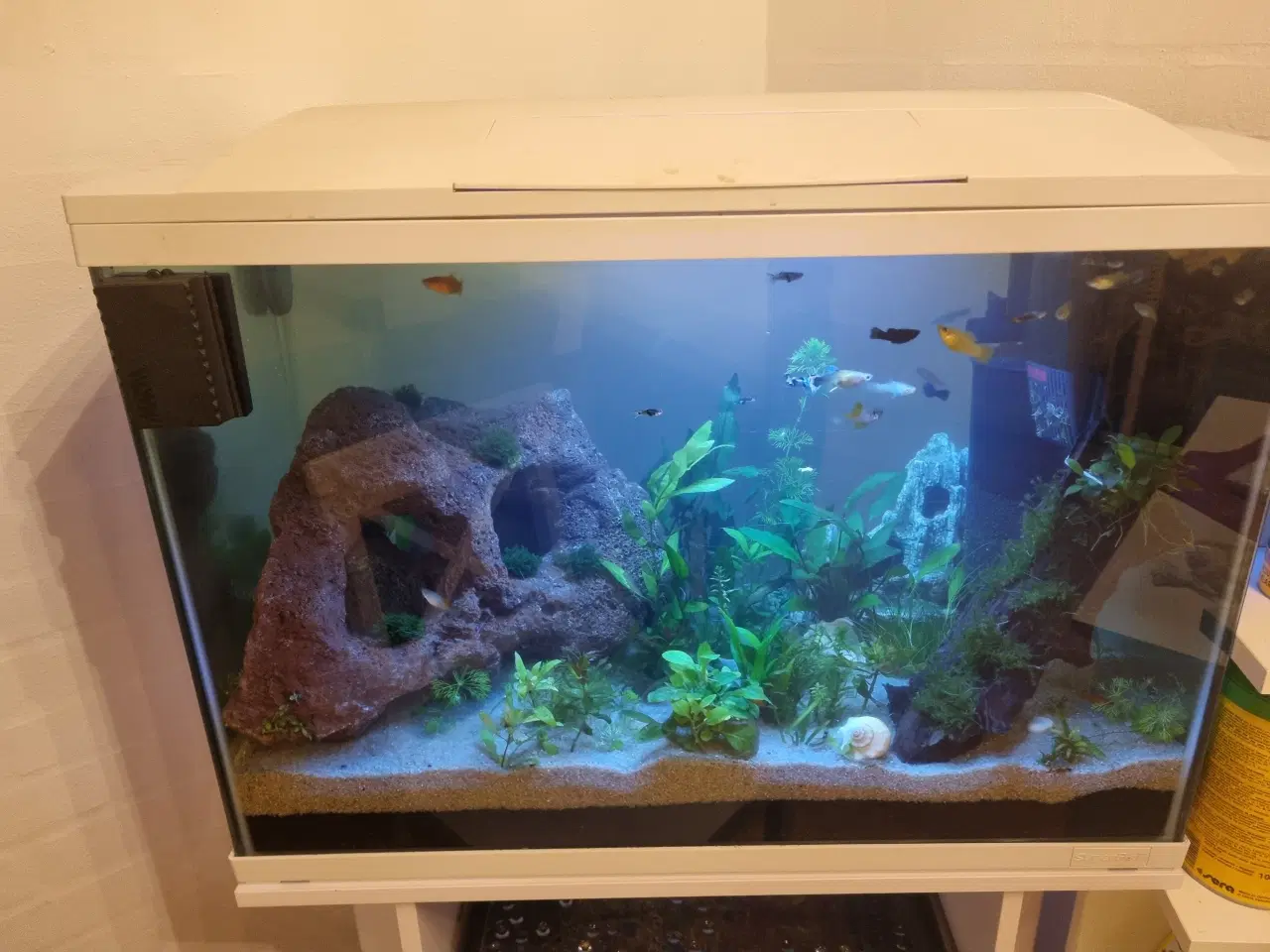 Billede 5 - Akvarium 100L SuperFish komplet setup 