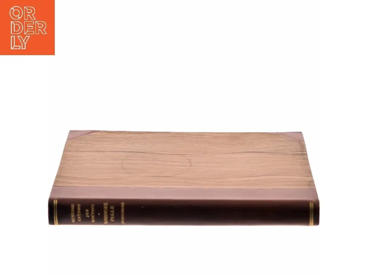 Billede 2 - Anordning af Nimbus Fuglejagtsmotorcykel af Henning Aspholm (Bog)