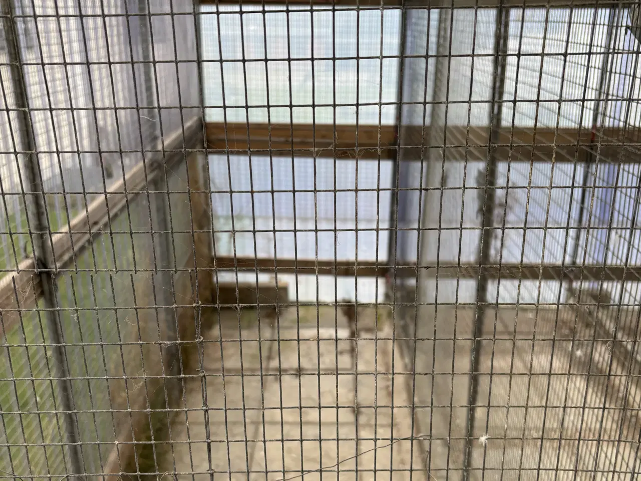 Billede 2 - Voliere rammer 