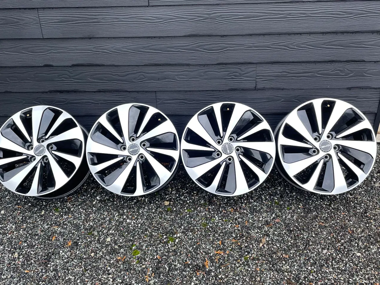 Billede 1 - Byd Seal U fælge