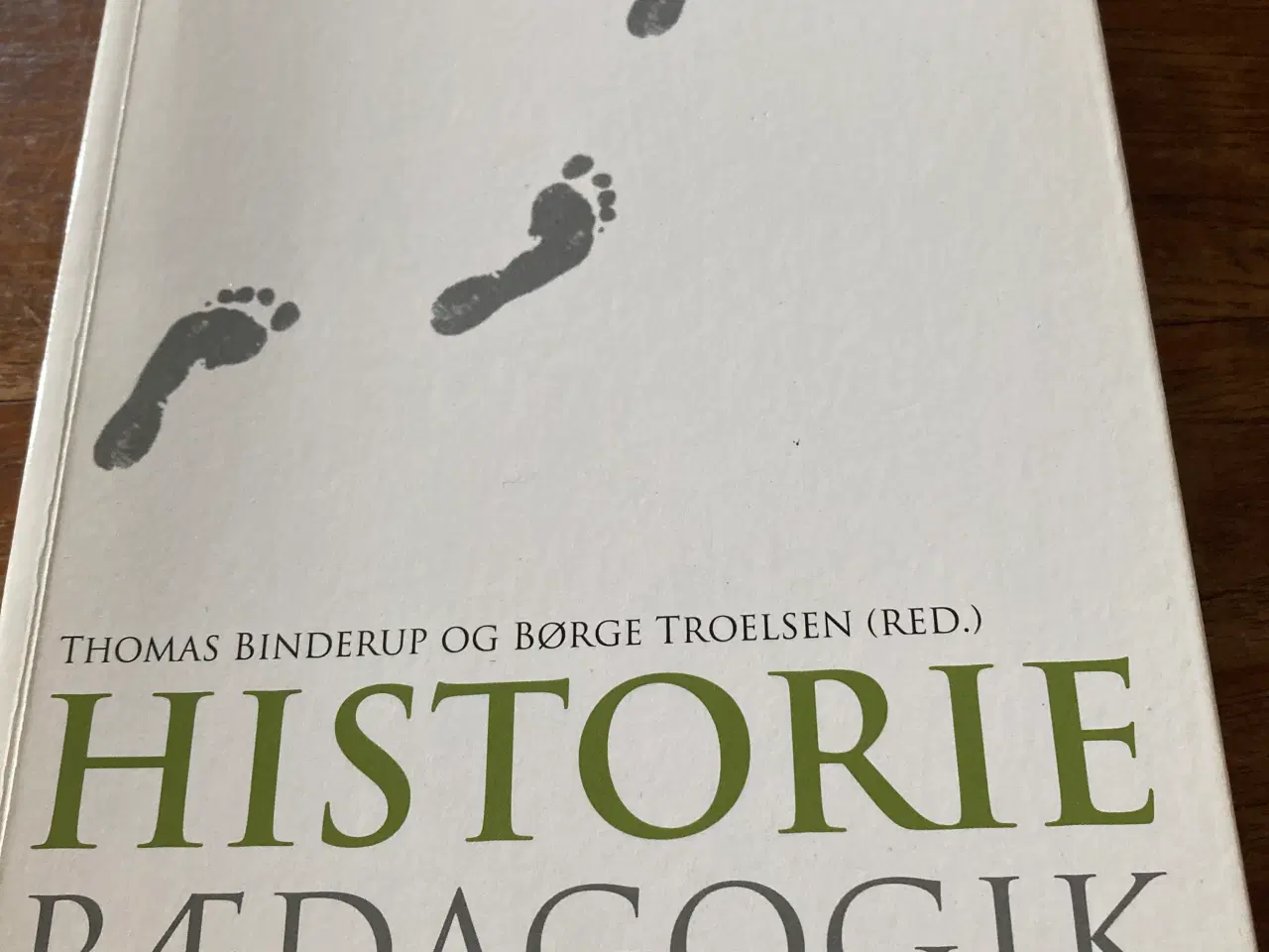 Billede 1 - Historiepædagogik 