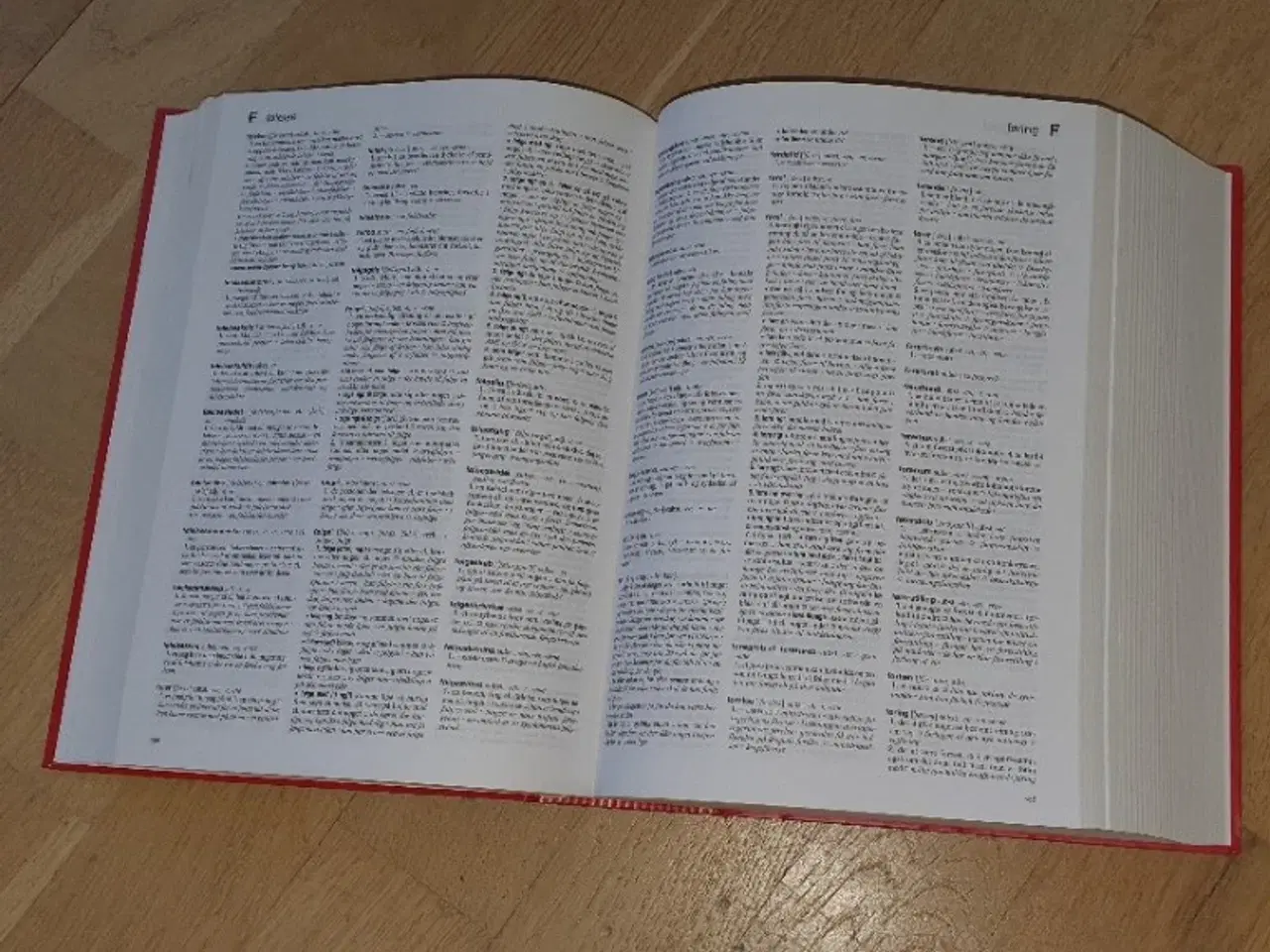 Billede 2 - Nydansk Ordbog	