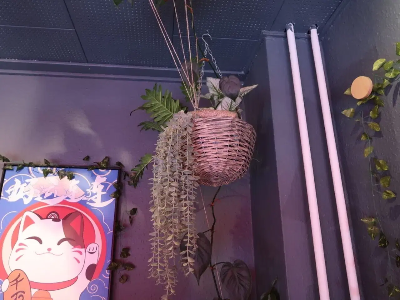 Billede 2 - 2 stk. planter i krukker