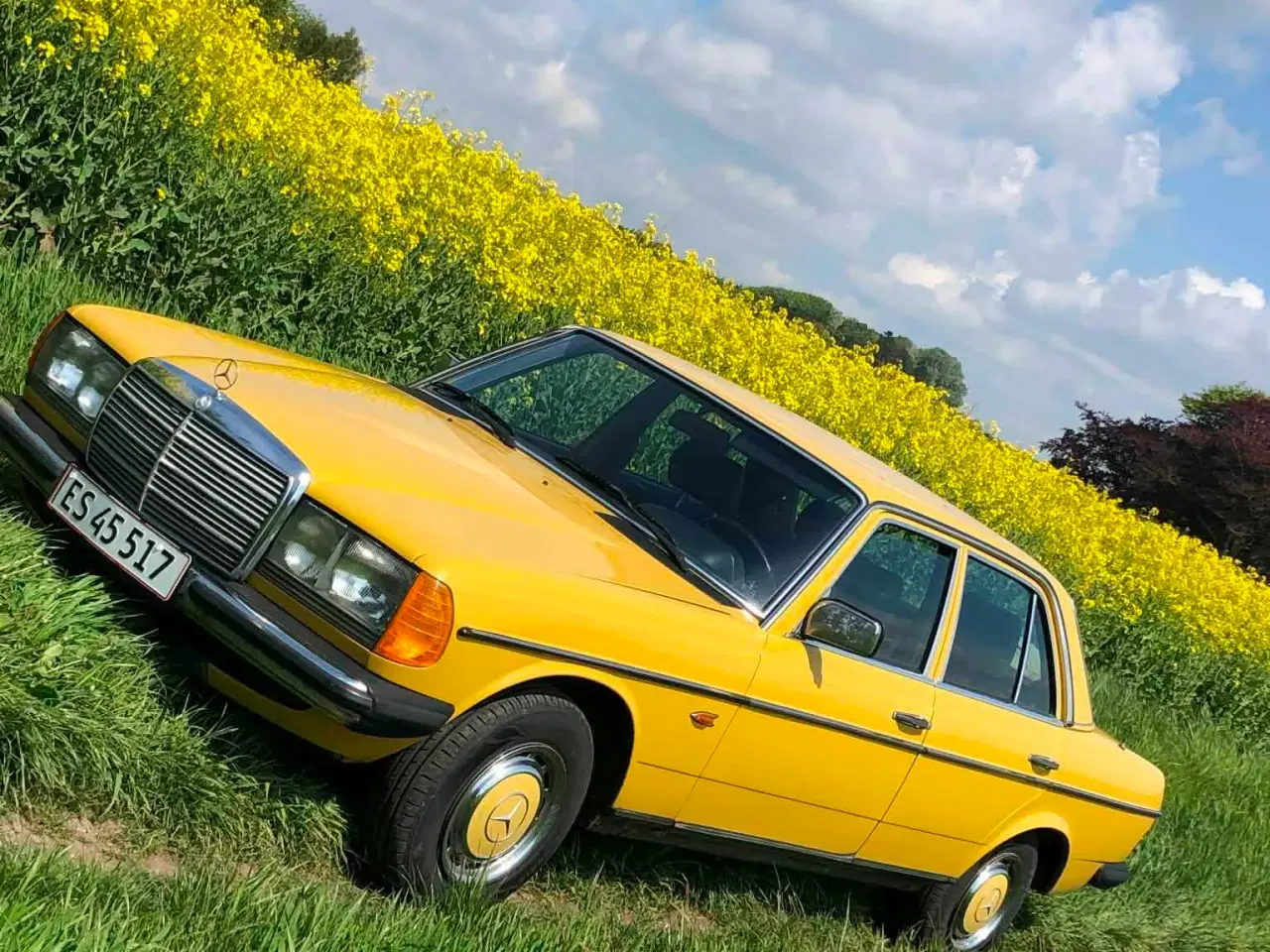 Billede 7 - Mercedes benz 123 2,0 benzin