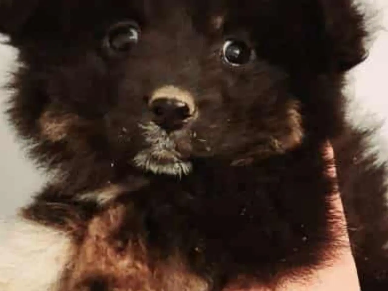 Billede 4 - Charme selvtillid og lækkert hår