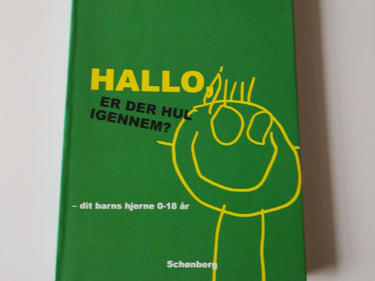 Billede 1 - Hallo - er der hul igennem? - dit barns hjerne fra