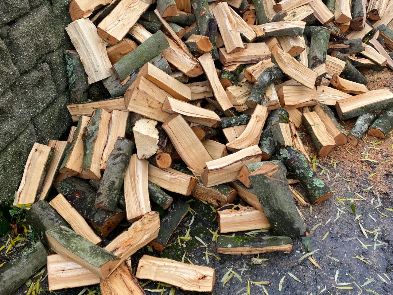 Billede 3 - Brænde Bøg og eg ny skovet