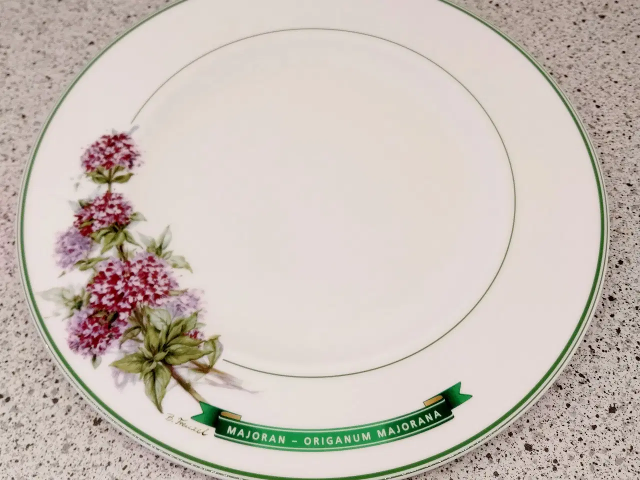 Billede 3 - Underberg 6 flade og 2 dybe tallerkener