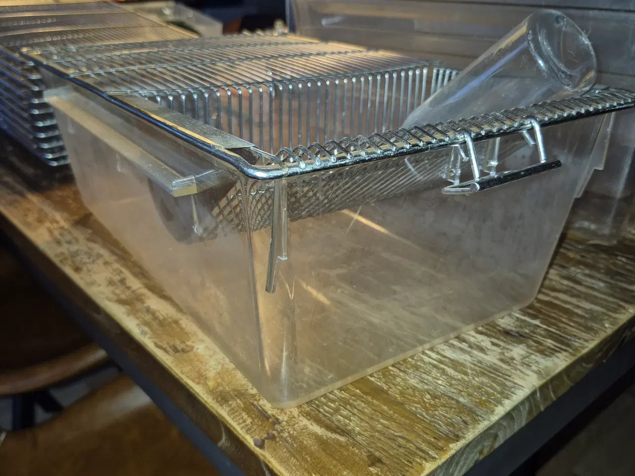 Billede 1 - 10 Lab bure til mus inkl flasker