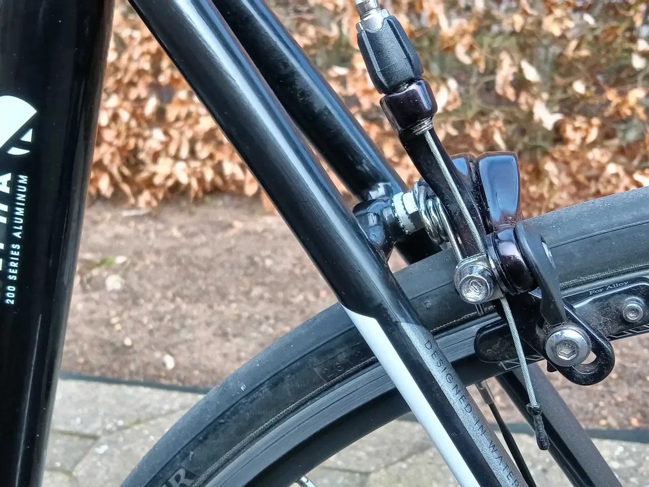 Billede 6 - TREK MADONE 2, 1 