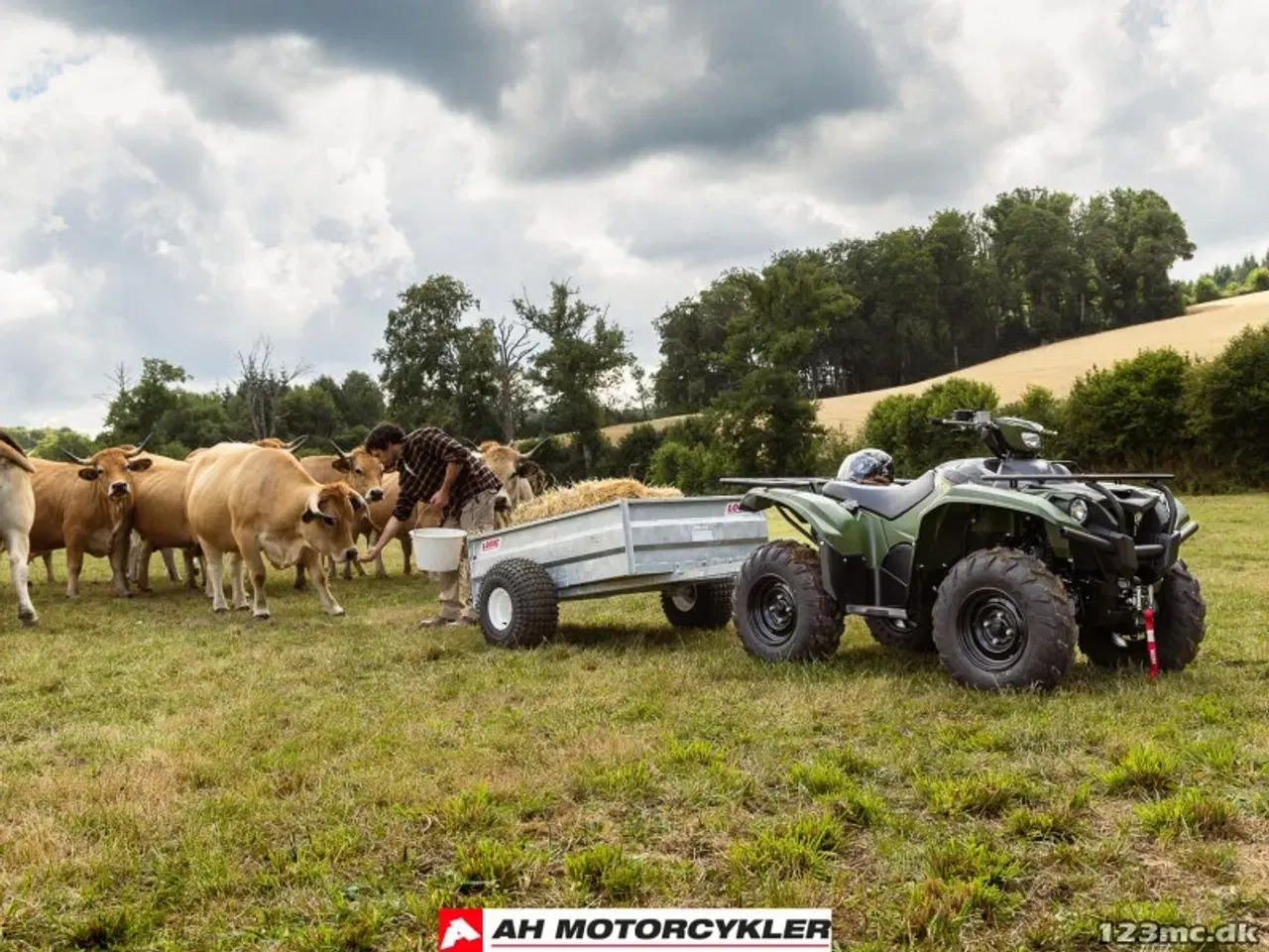 Billede 5 - Yamaha Kodiak 700 EPS Traktor