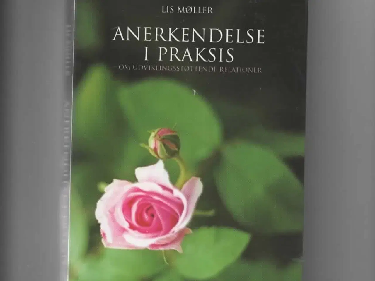 Billede 1 - Anerkendende pædagogik