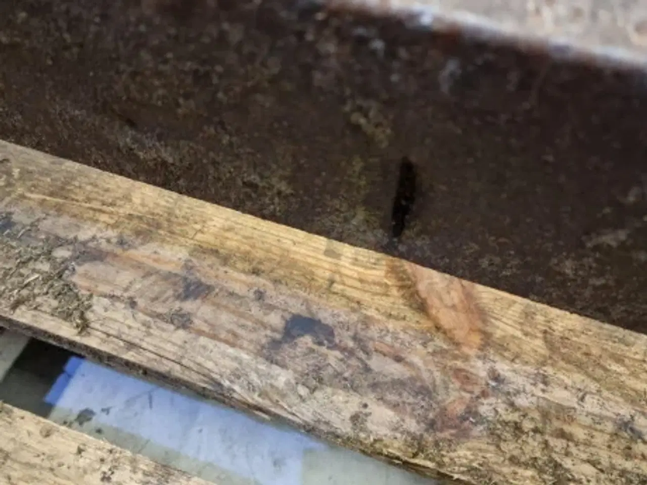 Billede 7 - New Holland 8080 Snitter