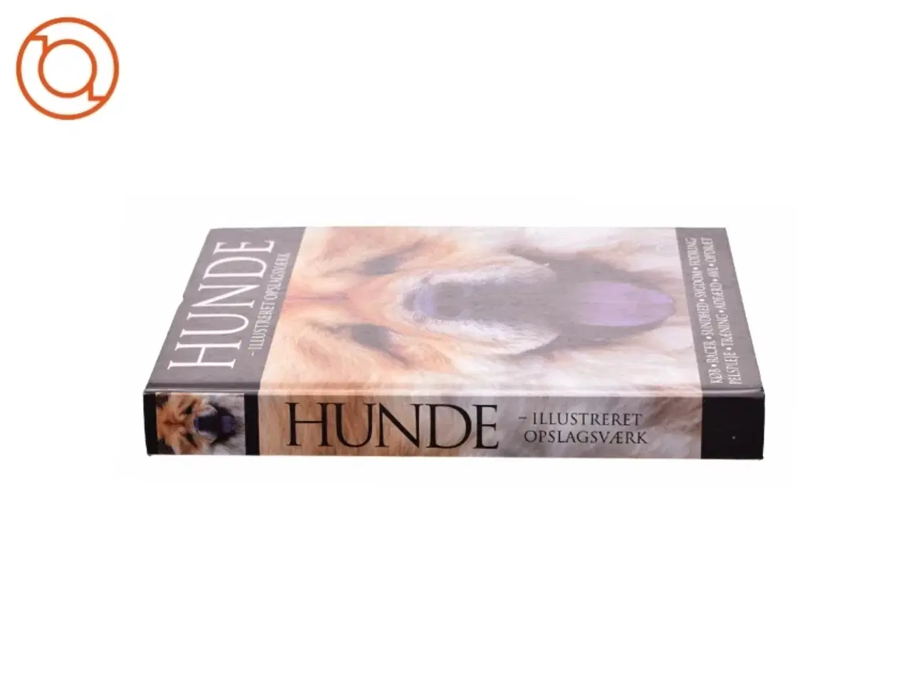 Billede 3 - Hunde - illustreret opslagsværk (Bog)
