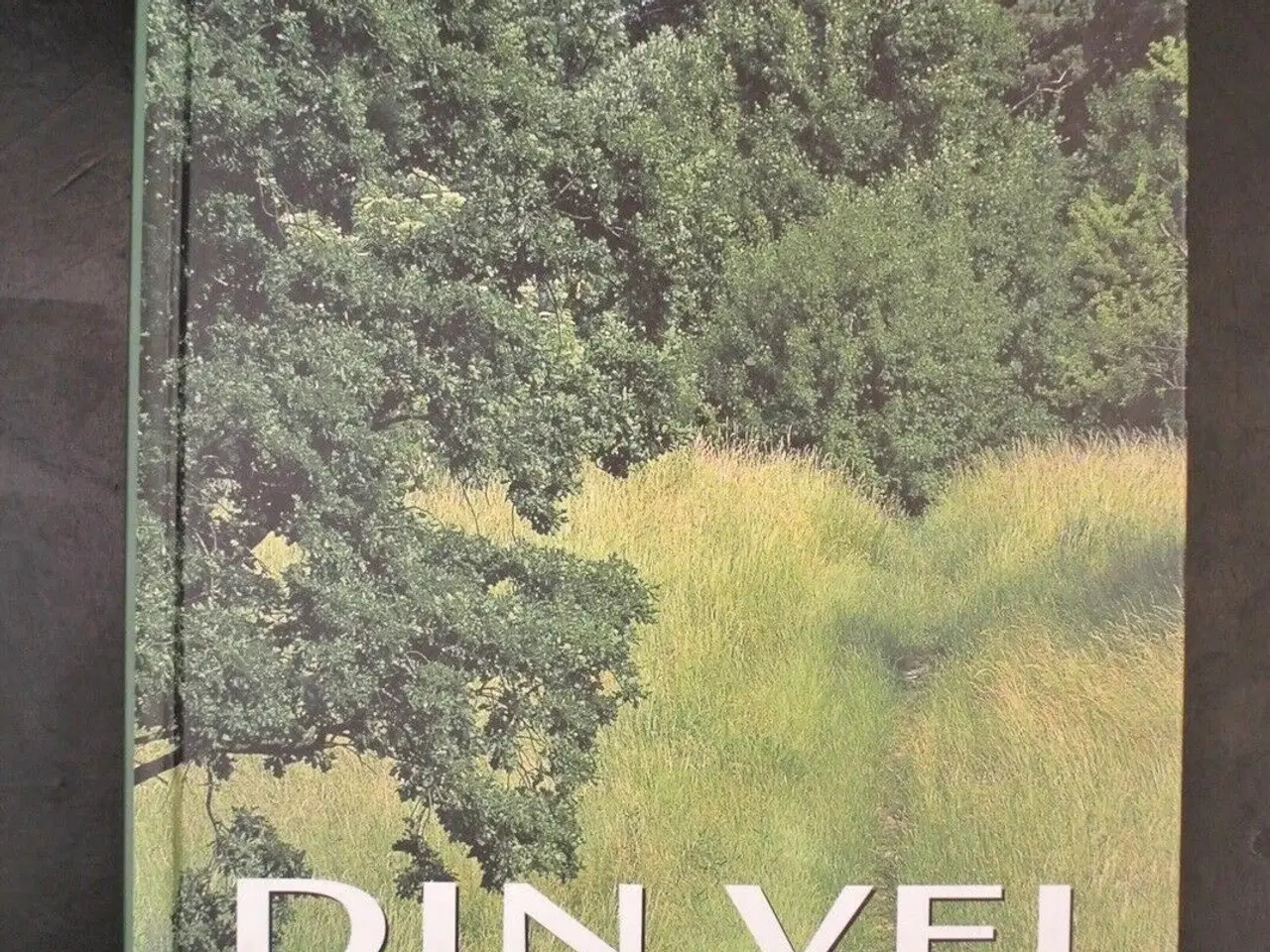 Billede 1 - din vej - psykologi og selvværd, Af terje nordberg