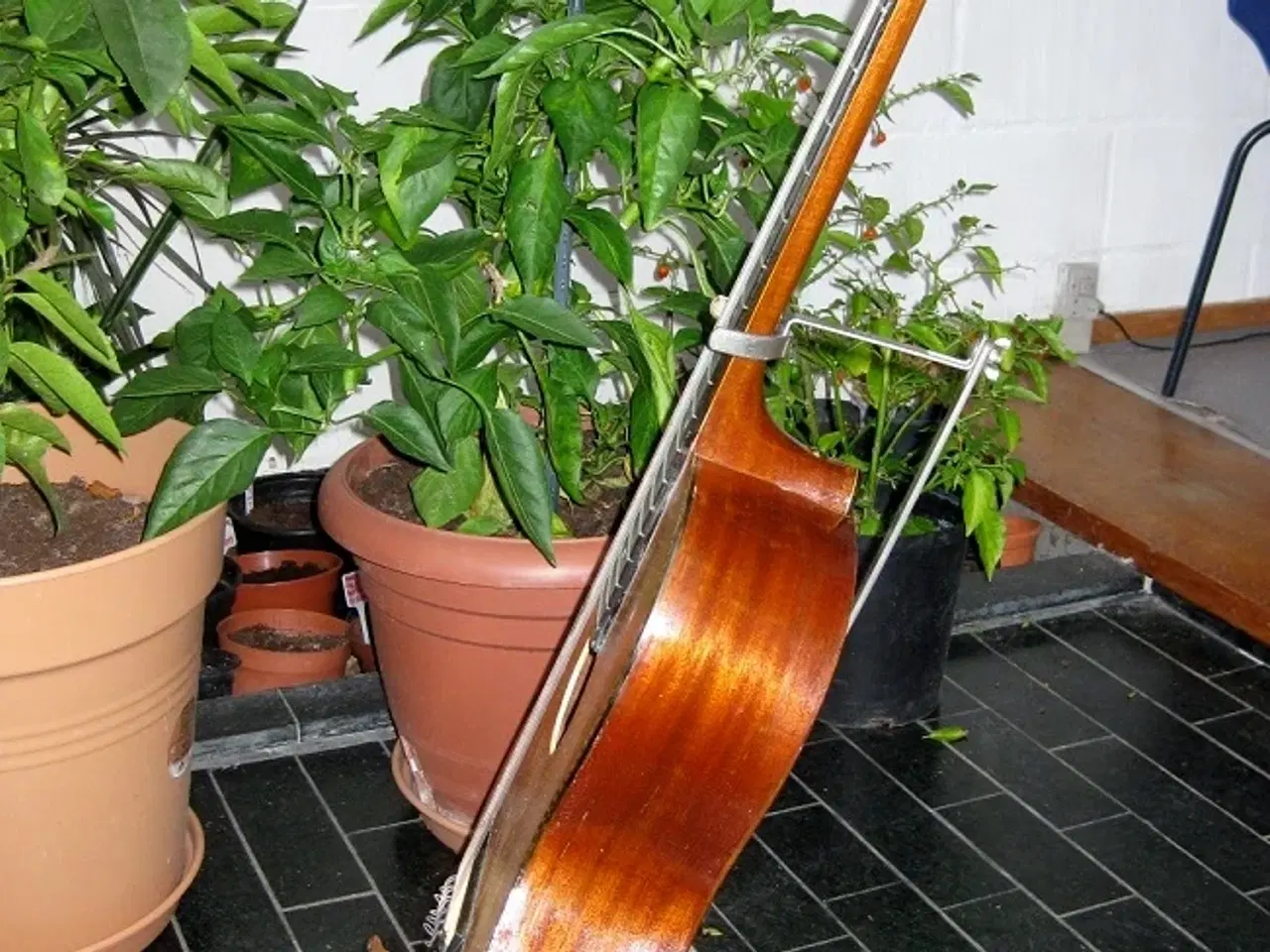 Billede 3 - Håndbygget klassisk guitar
