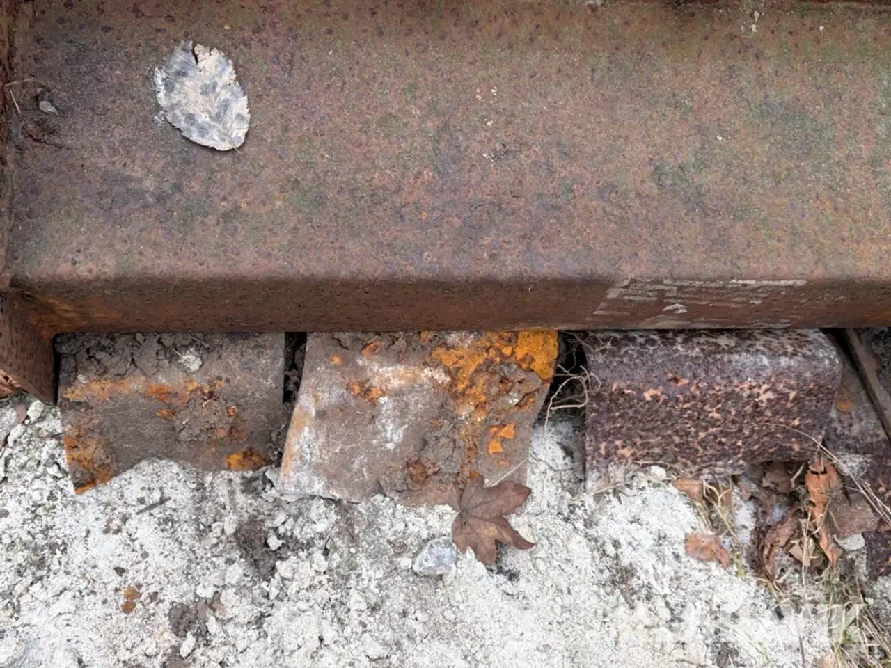 Billede 9 - Slagleklipper