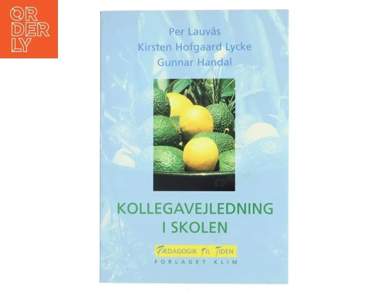 Billede 1 - Kollegavejledning i skolen af Per Lauvås (Bog)